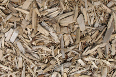 biomass boilers Whitehawk